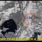 Lake Chad airstrike targets ISWAP leadership, disrupts terrorists’ supply network – NAF