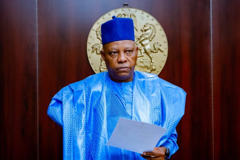 Vice President Kashim Shettima