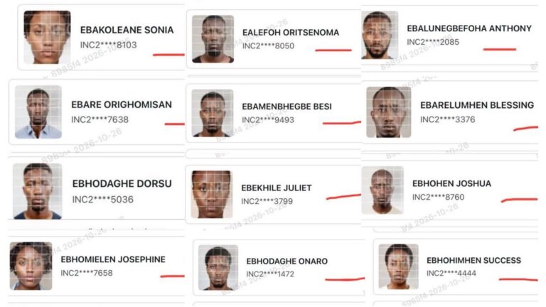 INEC launches investigation into voter register AI-generated photographs