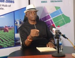 Chairman of the Delta Special Economic Zone Management Company (DSEZ-MC) Brigadier-General Mike Ndubisi (retd)