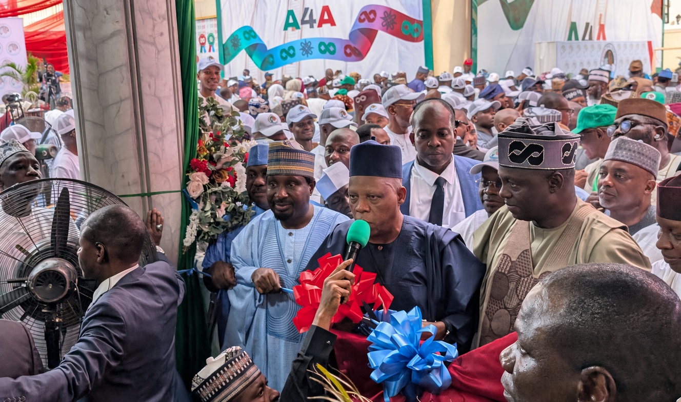 Vice President Kashim Shettima