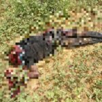 Nigerian Army Geidam terrorists