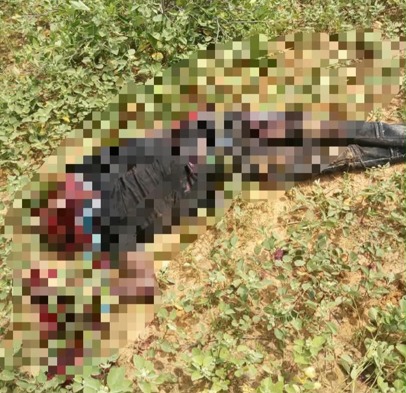 Nigerian Army Geidam terrorists