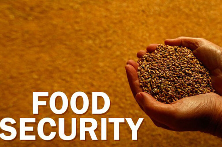 Food-Security
