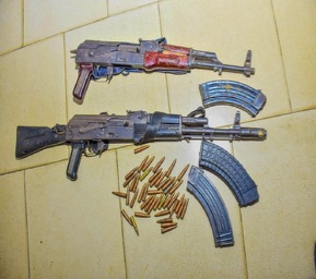 Gun