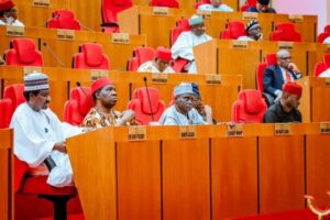 Senate confirms FRC, NHRC board chairmen, members
