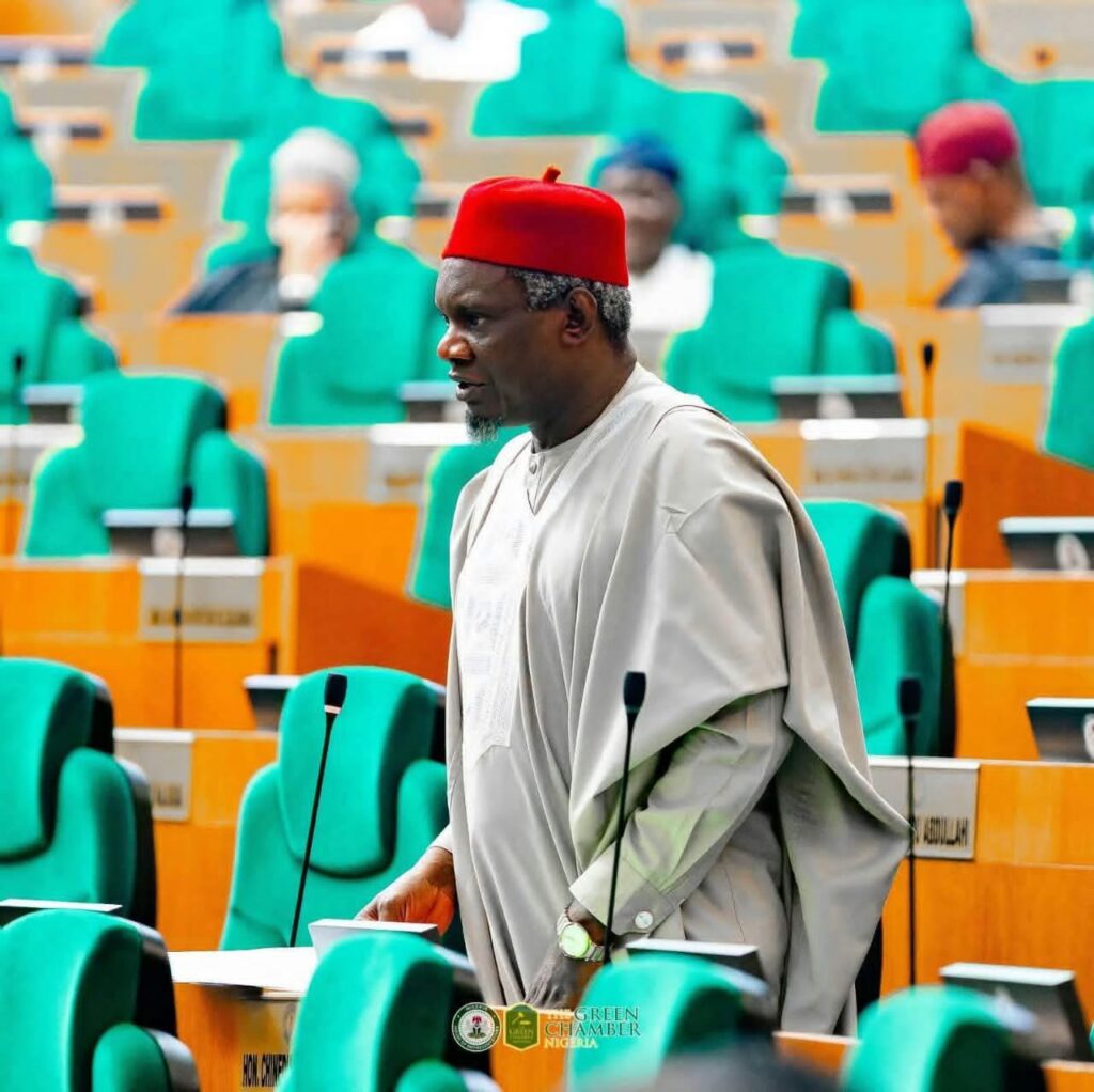 Chinedu Ogah