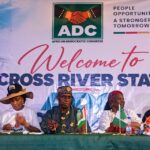 Amaechi: Subsidy removal was reckless, meant to punish Nigerians