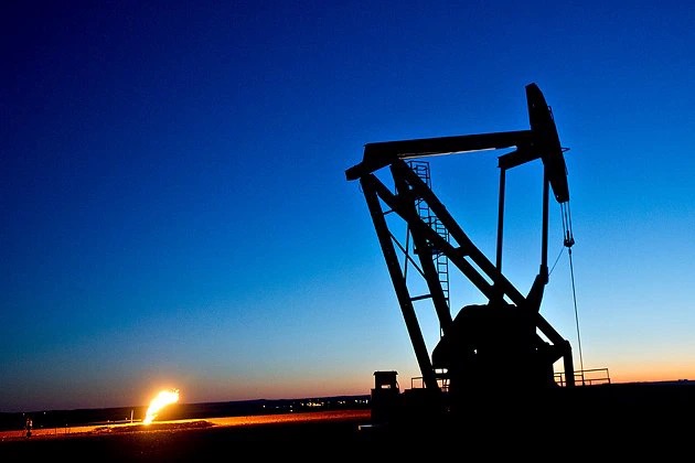 Oil