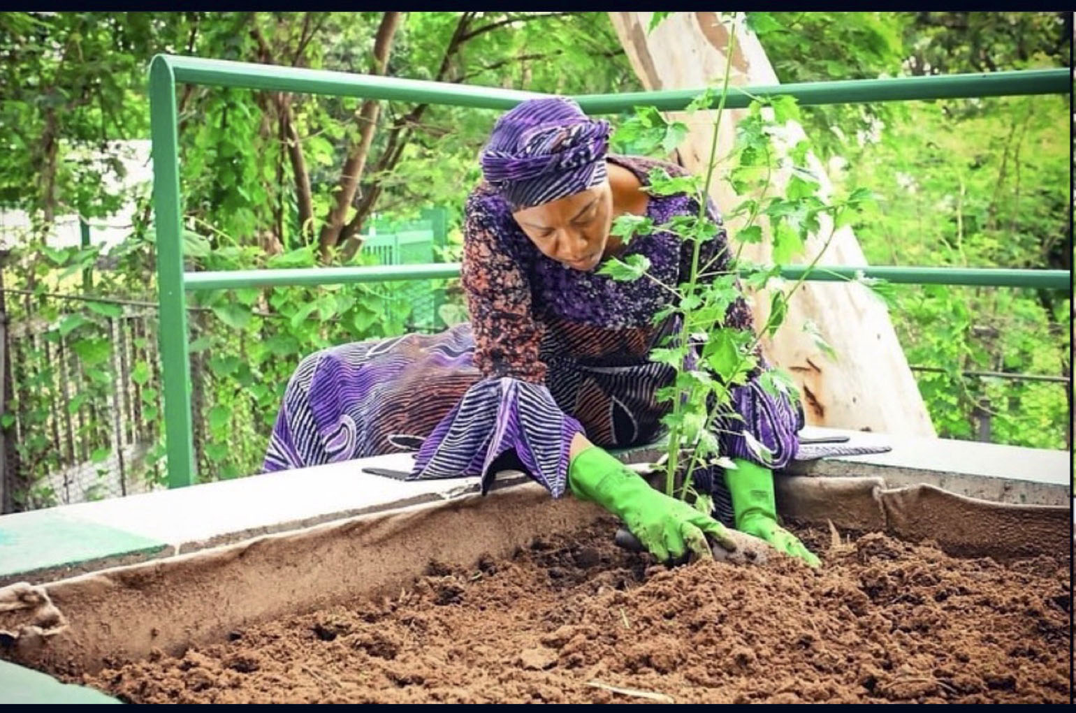 Oluremi Tinubu at her vegetables garden in Aso Rock