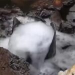 Rivers