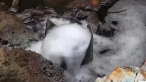 Rivers