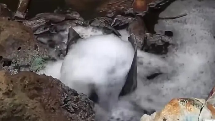 Rivers