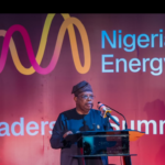Minister of Power Joseph Tegbe