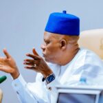 Vice-President Kashim Shettima