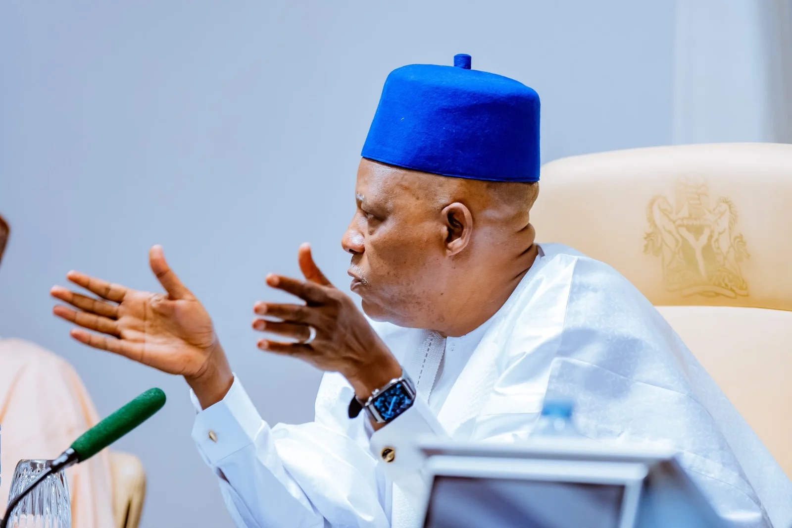 Vice-President Kashim Shettima