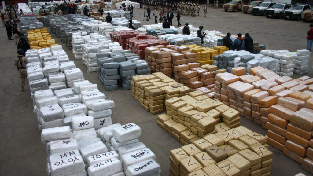 drug trafficking network