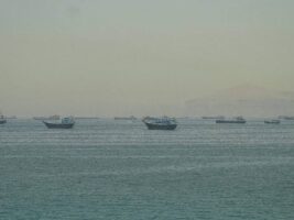 images-6