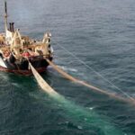 trawlers