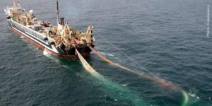 trawlers