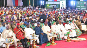 2027: Tinubu’s achievements will drive re-election campaign, Yari declares