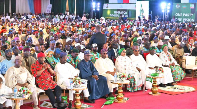 2027: Tinubu’s achievements will drive re-election campaign, Yari declares